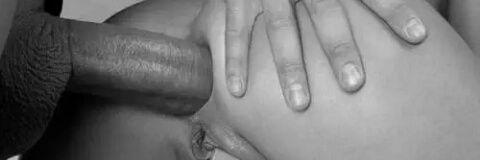 negroconleche's profile banner image