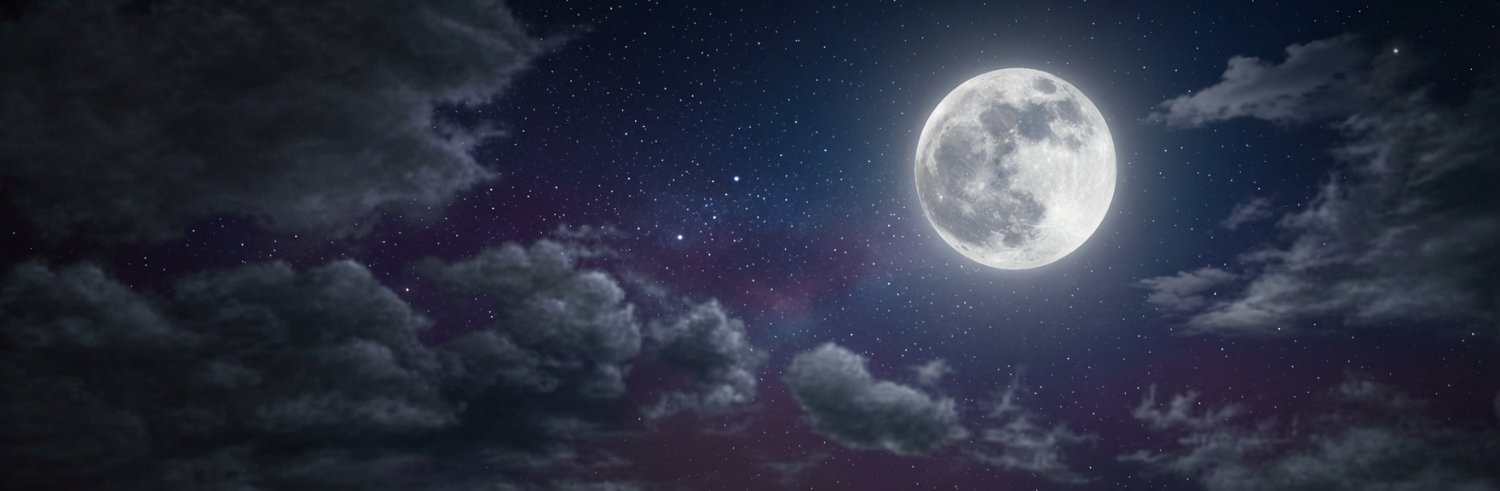 0xEngineeer's profile banner image