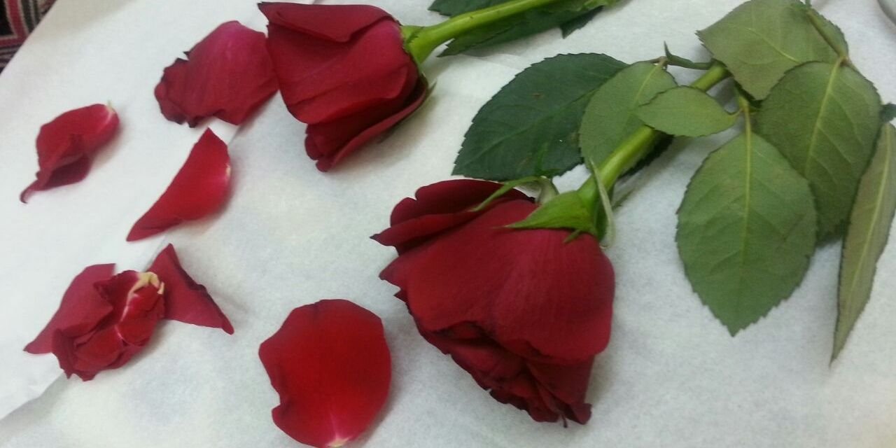 QutoofS's profile banner image