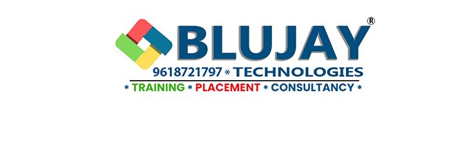 blujay technlogies banner