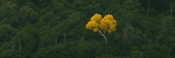 SilentWave101 Profile Banner