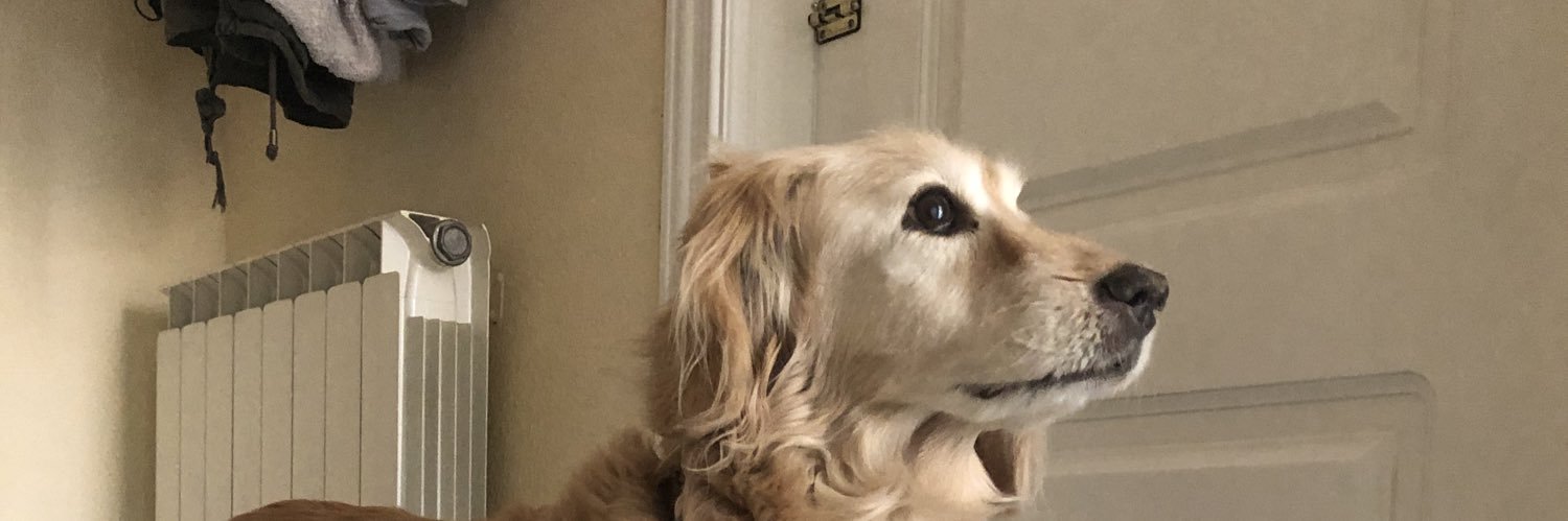 lauracherrycc's profile banner image