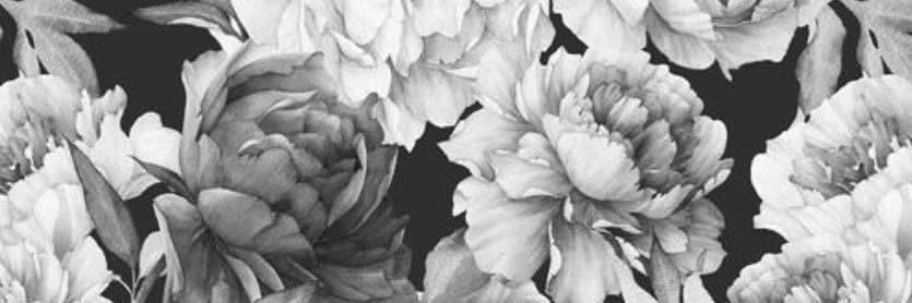 samabramsss's profile banner image