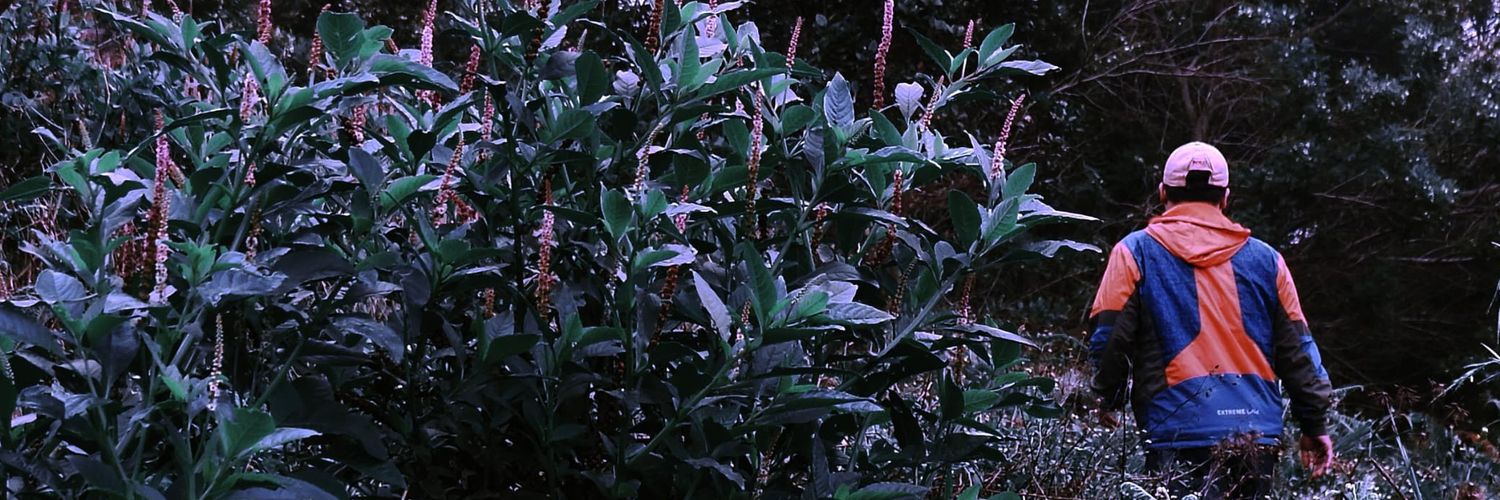 masjjebs's profile banner image