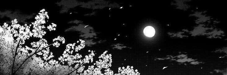 veniceebvtchh's profile banner image