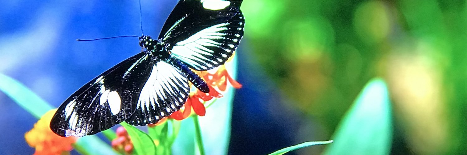 iPatrick2's profile banner image