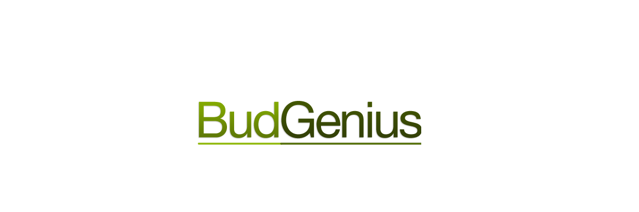 budgenius's profile banner image