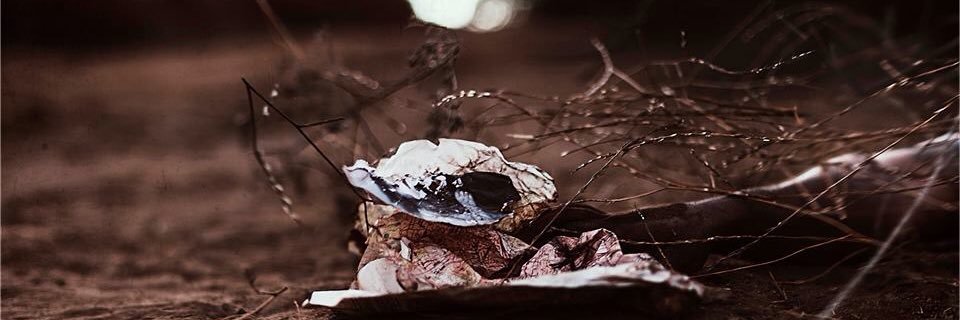 Milestoneca's profile banner image