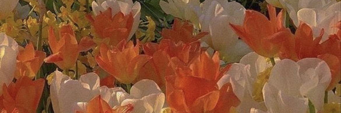 j_haare's profile banner image