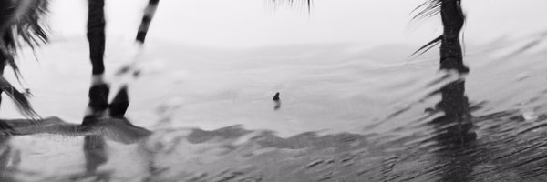 trustinelements Profile Banner