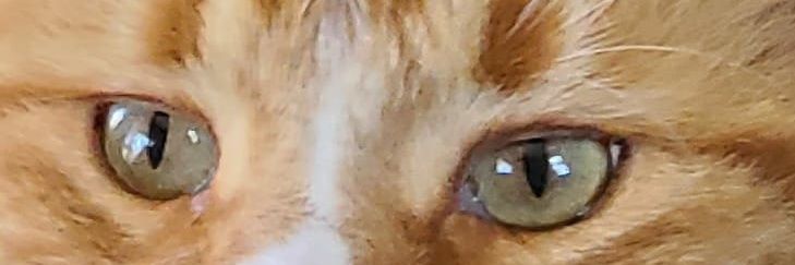 juicyjmul's profile banner image