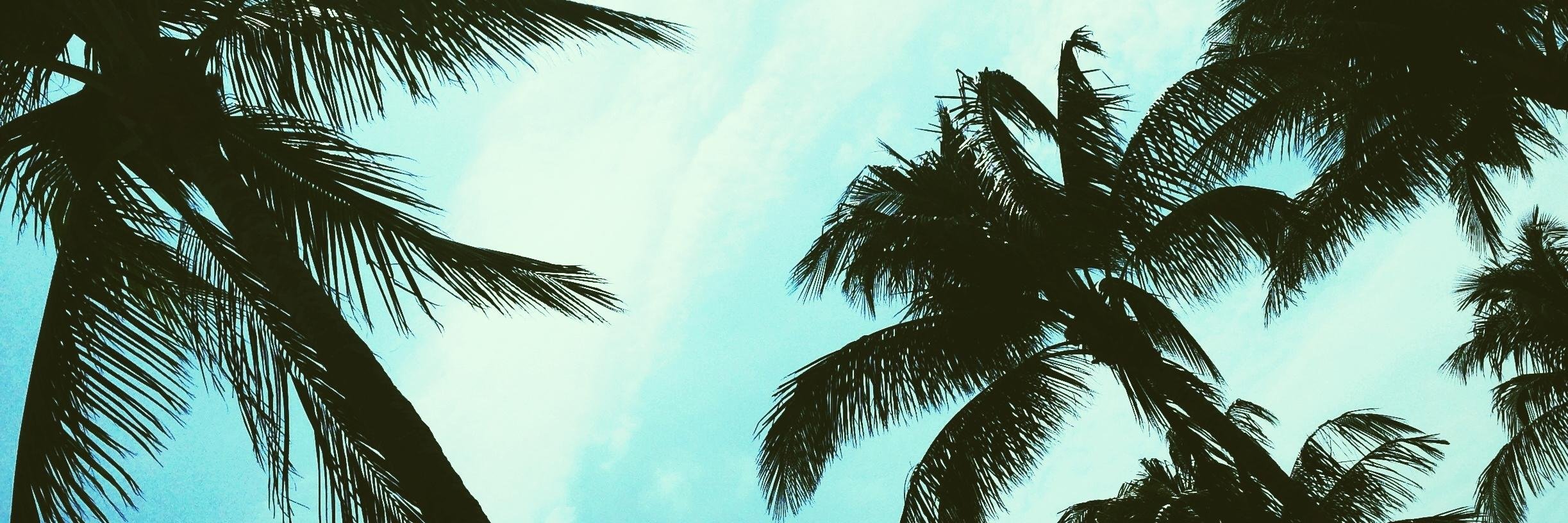 _madylite's profile banner image