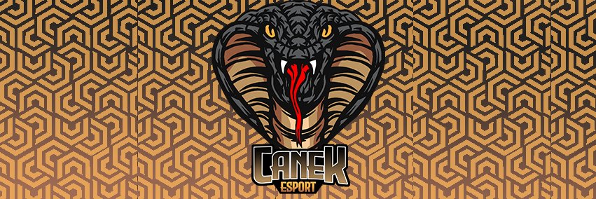 CANEKESPORT's profile banner image