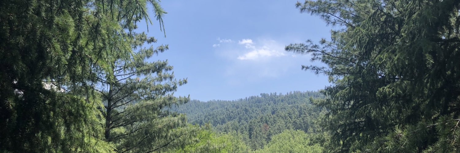 p_pseudo's profile banner image