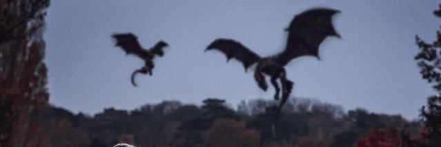 Ꮲꭱꮖɴꮯꭼꮪꮪ Ꭺꮮꭹꮪꭺɴɴꭼ. banner