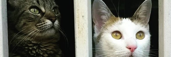 DanilaaC's profile banner image