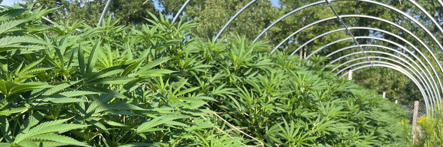 Hidden Forest Farms banner