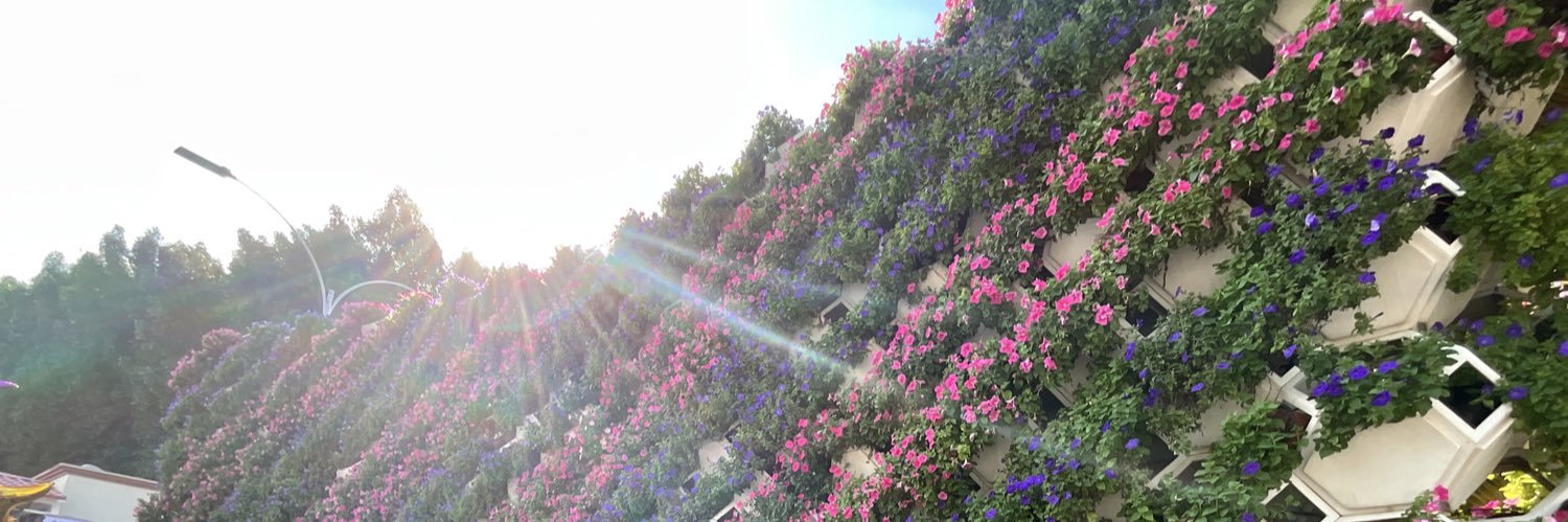 E banner