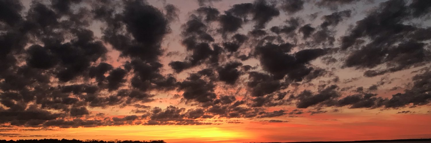 hasseell_'s profile banner image