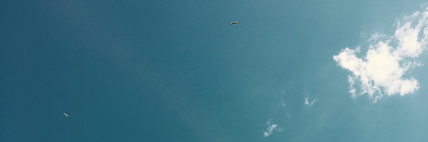 siebloss's profile banner image