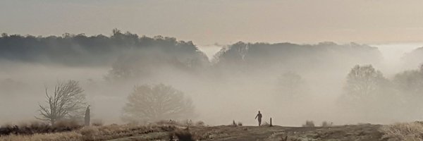 markbkenny Profile Banner