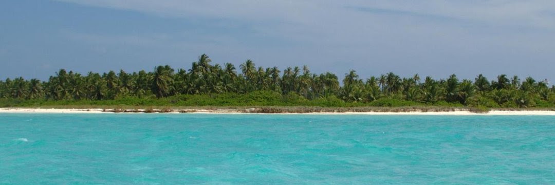 Александр Новиков banner