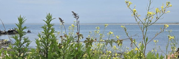 Addi3Bug Profile Banner