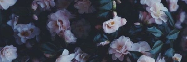 CrimsonGrove Profile Banner