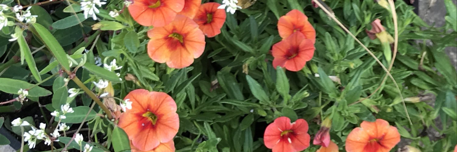 KatieBParks's profile banner image