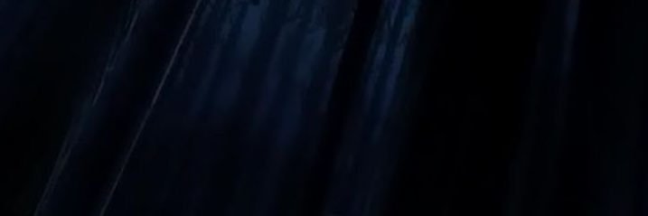 Vick banner