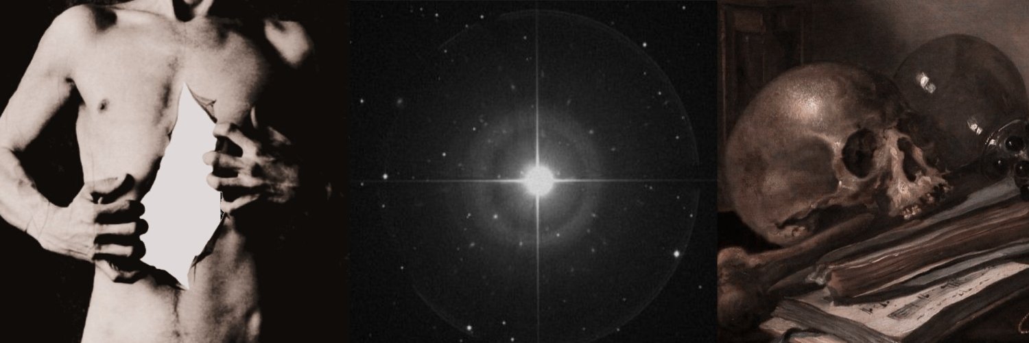 𝒂𝒍𝒑𝒉𝒂𝒓𝒅 𝒃𝒍𝒂𝒄𝒌 banner