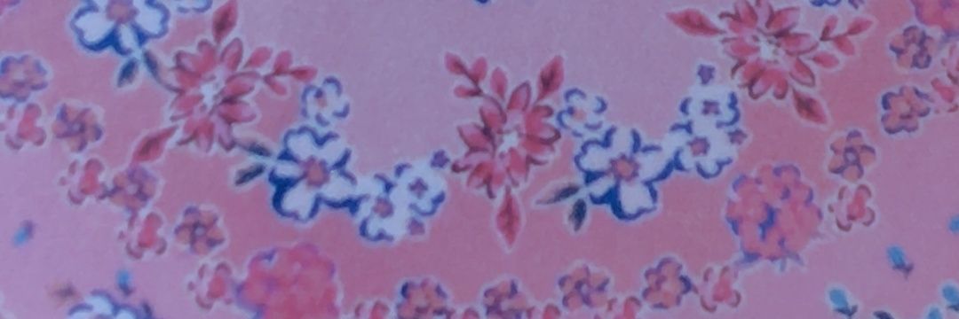 夜桜せれな🪽💓 banner