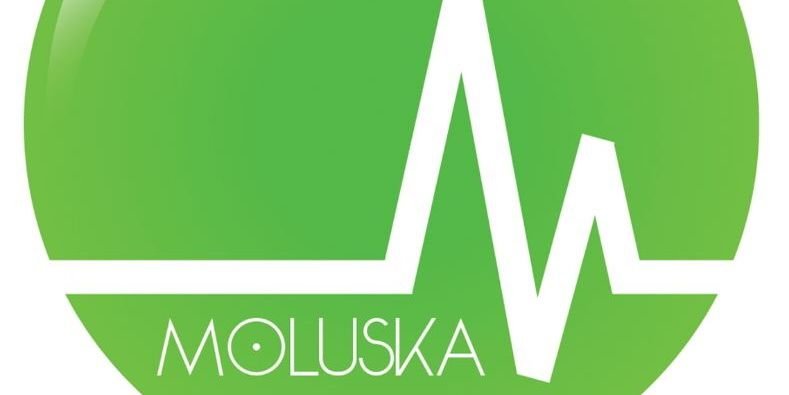angkitmoluska's profile banner image