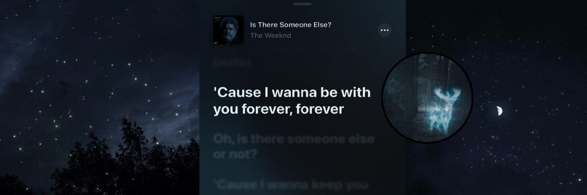 venus shedtwt banner