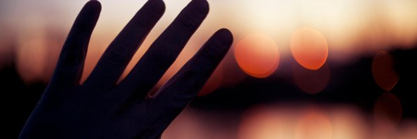 noisefuel Profile Banner