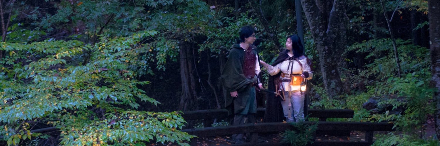 TheFoolWanderer's profile banner image