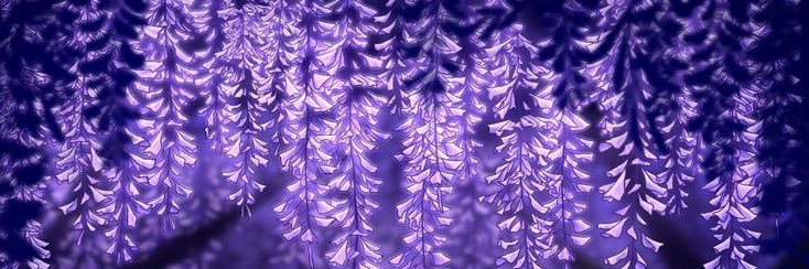 косно 𓂃 ࣪˖ ⋆.˚ ʚїɞ ⋆ banner