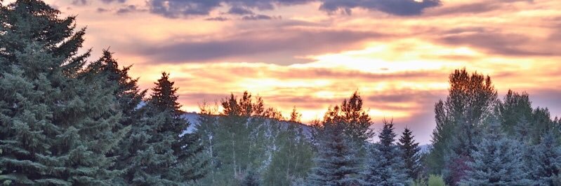 czr429's profile banner image