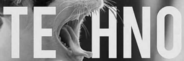 noejacq's profile banner image