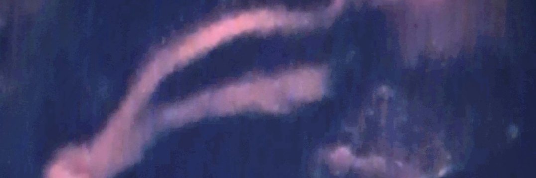 Skunk_Eyes's profile banner image