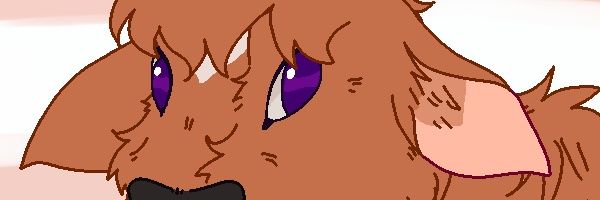 dumbl_b33's profile banner image