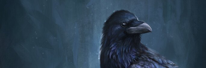The_Rook711's profile banner image