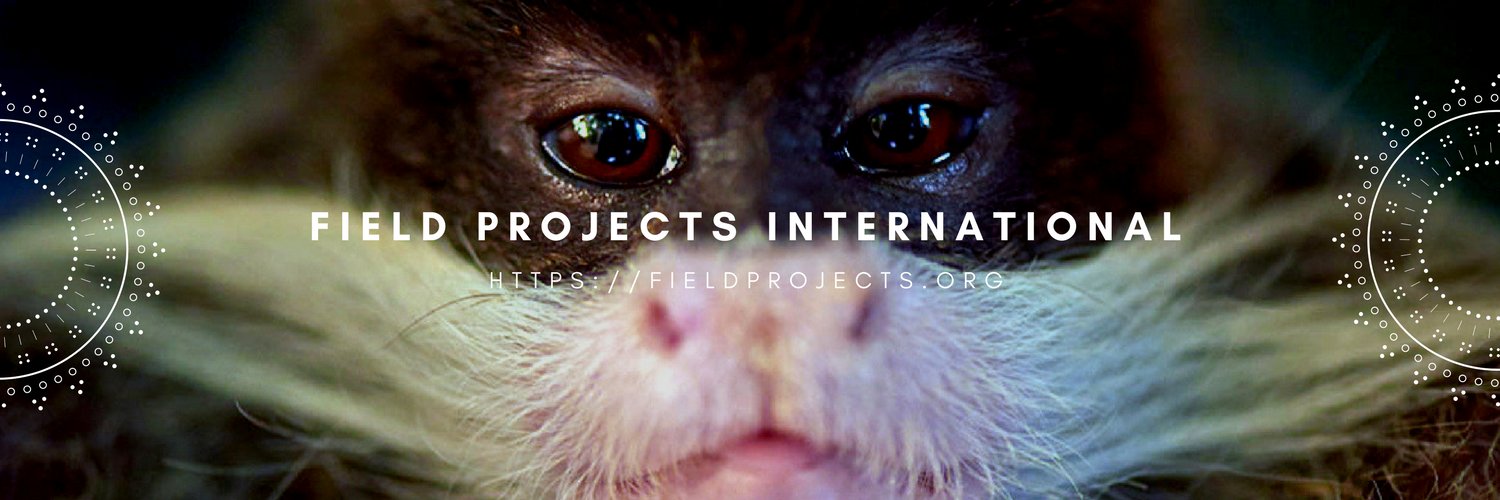 Field Projects banner