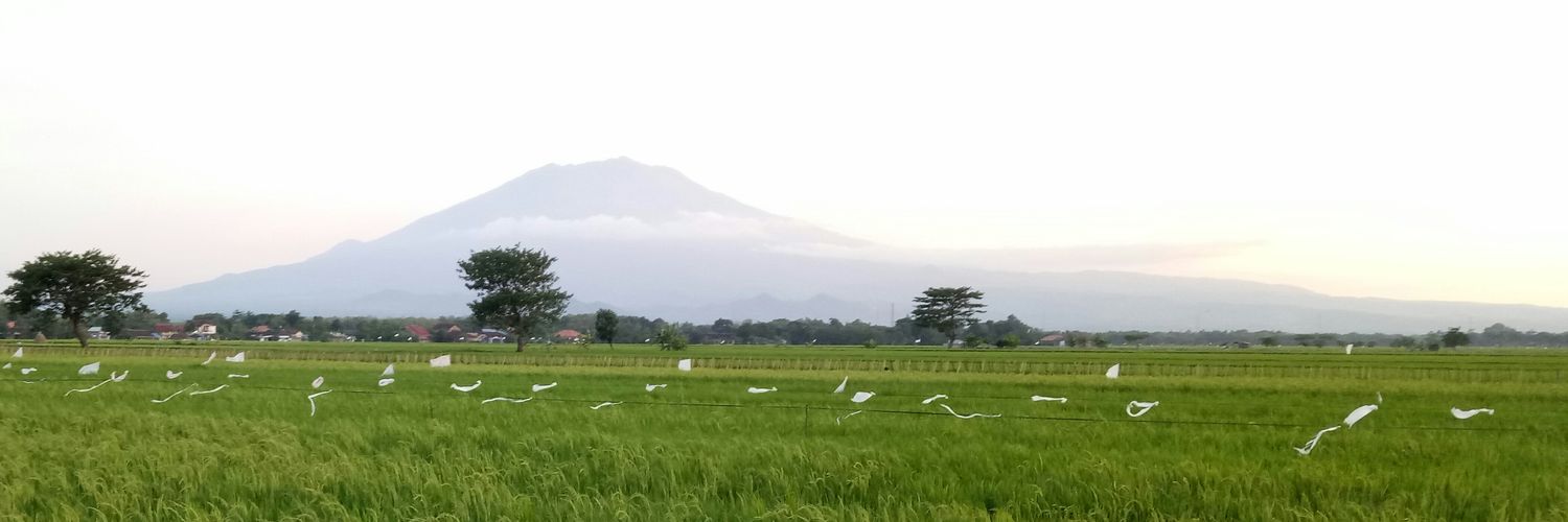 IndriyantiWidya's profile banner image