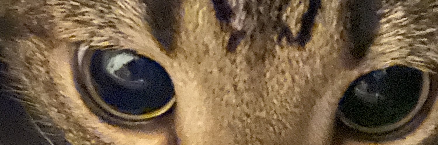 Frog 🇧🇷☭🔻's banner