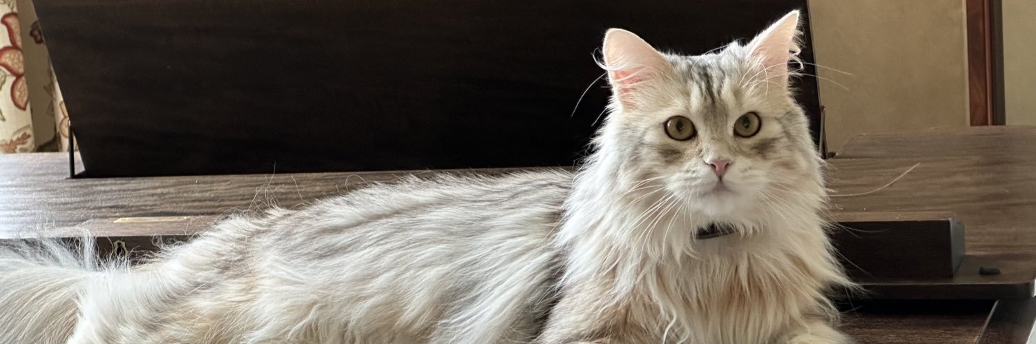CatDogofWA's profile banner image