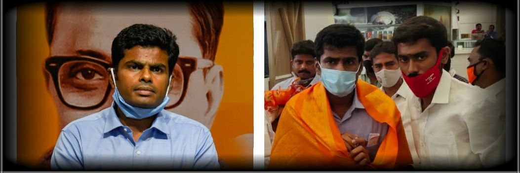 mprooty's profile banner image