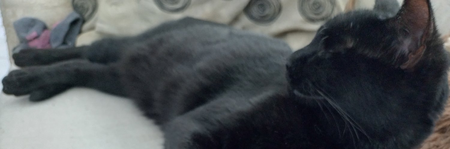 iamrobu's profile banner image