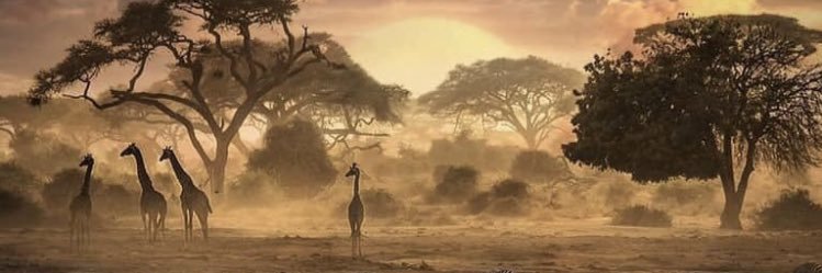 mattastrid's profile banner image