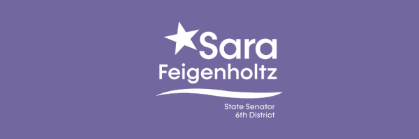 SaraFeigenholtz Profile Banner